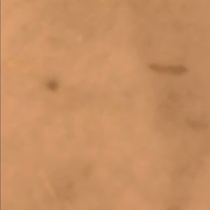 Meet your Posher, Alec